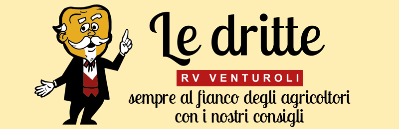 Le dritte by RV Venturoli