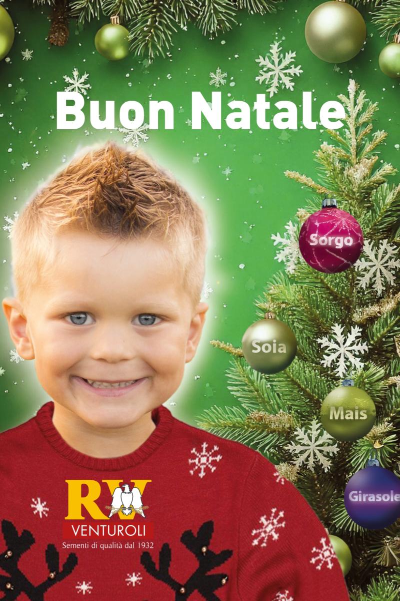 Auguri di Buon Natale da RV Venturoli